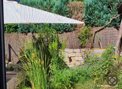Ein Garten an der Unterkunft Schleusenapartment mit Klimaanlage und Kamin