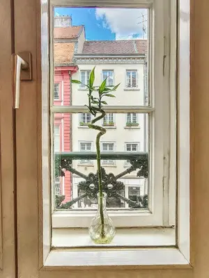 Grundriss der Unterkunft Historisches Altstadt-Juwel - Ruhige Top-Lage in Uninähe