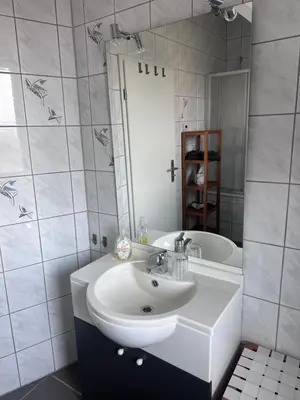Ein Badezimmer in der Unterkunft Gemütliche Ferienwohnung in Rödermark