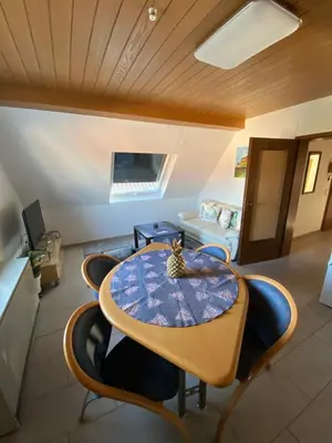 TV/Unterhaltungsangebot in der Unterkunft Ferienwohnung Altrip