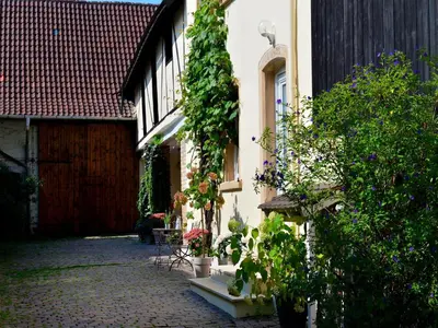 Ein Garten an der Unterkunft Gästehaus & Weingut GEHRIG