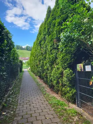 Naturlandschaft in der Nähe der Ferienwohnung