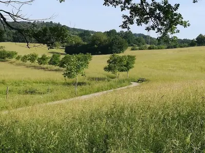 Naturlandschaft in der Nähe des Ferienhauses