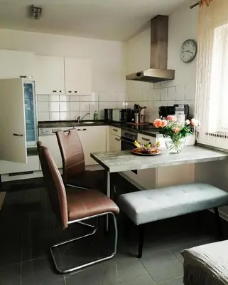 Küche/Küchenzeile in der Unterkunft Modernes Apartment - Neustadt an der Weinstraße