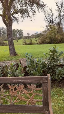 Ein Garten an der Unterkunft Idyllisches 2-Zimmer-Apartment