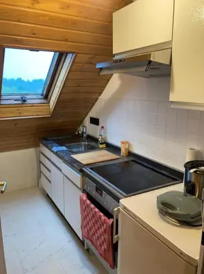 Küche/Küchenzeile in der Unterkunft 42 qm großes Wohlfühl-Apartment im ruhigen Messel