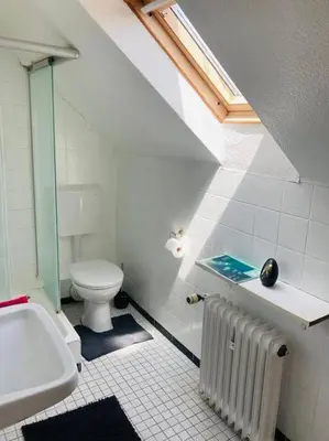 Ein Badezimmer in der Unterkunft 42 qm großes Wohlfühl-Apartment im ruhigen Messel