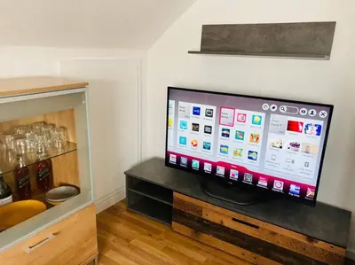TV/Unterhaltungsangebot in der Unterkunft 42 qm großes Wohlfühl-Apartment im ruhigen Messel