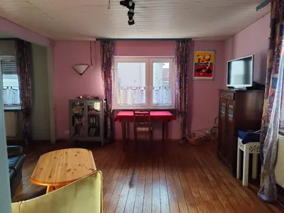 TV/Unterhaltungsangebot in der Unterkunft Speyer Vintage Stil Ferienwohnung Hundefreundlich