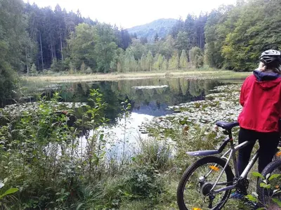 Naturlandschaft in der Nähe der Ferienwohnung