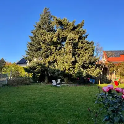 Neu! Große Ferienwohnung 3 Zimmer mit Küche und Bad
