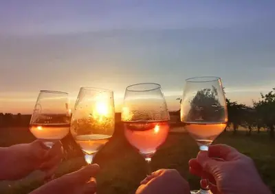 Getränke in der Unterkunft Weingut Will & Würz Riesling