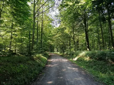 Naturlandschaft in der Nähe der Ferienwohnung