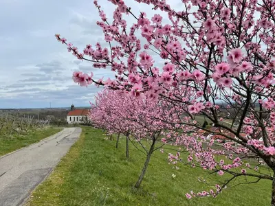 Naturlandschaft in der Nähe der Ferienwohnung