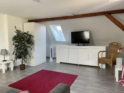 TV/Unterhaltungsangebot in der Unterkunft gemütliche Ferienwohnung an der Enz