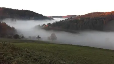 Naturlandschaft in der Nähe der Ferienwohnung