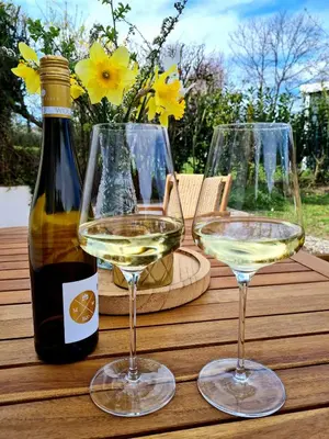 Getränke in der Unterkunft Im Rebennest - 3,5 ZKB mit Terasse und Garten an den Weinbergen