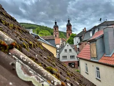Ein allgemeiner Bergblick oder ein Berglick von der Ferienwohnung aus