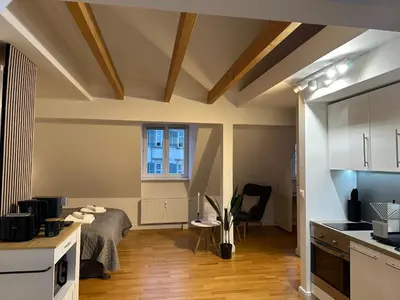 TV/Unterhaltungsangebot in der Unterkunft BELLA - Business&Family Ap 16, 100m vom Konzerteingang Schloß, Parkplatz, SmartTV, Netflix, Waschmaschine, 24h Checkin, 46qm