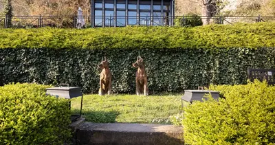 Ein Garten an der Unterkunft House of Hütter- Heidelberg Suites Guesthouse