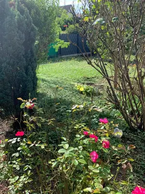 Ein Garten an der Unterkunft Cozy Apartment - 2 BR, Spacious Kitchen, Balcony, Top Location