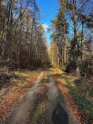 Naturlandschaft in der Nähe des Ferienhauses