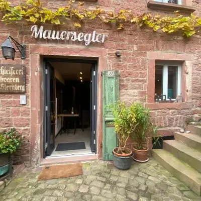 Mauersegler