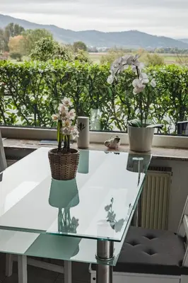 Naturlandschaft in der Nähe der Ferienwohnung