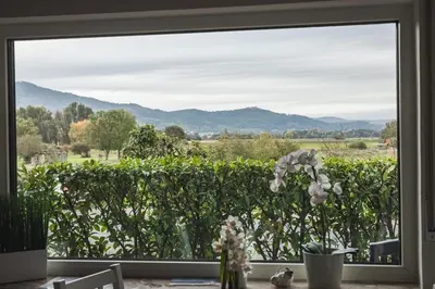 Naturlandschaft in der Nähe der Ferienwohnung