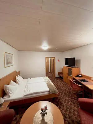 TV/Unterhaltungsangebot in der Unterkunft Hotel Hubertus Gernsheim Rhein