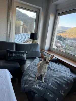 Ein allgemeiner Bergblick oder ein Berglick von der Ferienwohnung aus