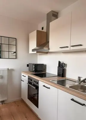 Küche/Küchenzeile in der Unterkunft Charmante Schlossblick Wohnung