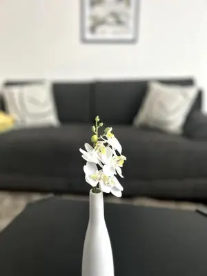 Ein Sitzbereich in der Unterkunft Ruhige Unterkunft mit Netflix Küche & Waschmaschine