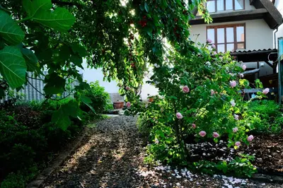 Ein Garten an der Unterkunft Ferienwohnung in charmantem Fachwerkhaus
