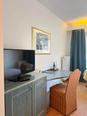 TV/Unterhaltungsangebot in der Unterkunft Hotel Das Waldhaus in Maikammer