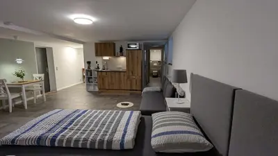 Küche/Küchenzeile in der Unterkunft Studio Apartment Bachmann