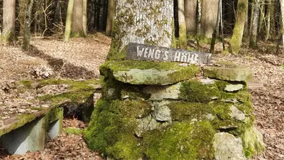 Naturlandschaft in der Nähe der Ferienwohnung