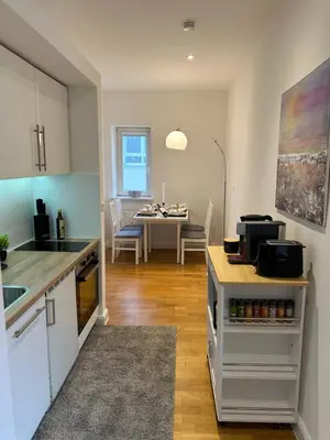 Küche/Küchenzeile in der Unterkunft BELLA - Business&Family Ap 12, 100m zum Konzerteingang Schloß, Parkplatz, SmartTV, Netflix, Waschmaschine, 24h Checkin, 36qm