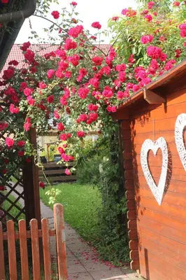 Ein Garten an der Unterkunft Apartmenthaus Wertheim