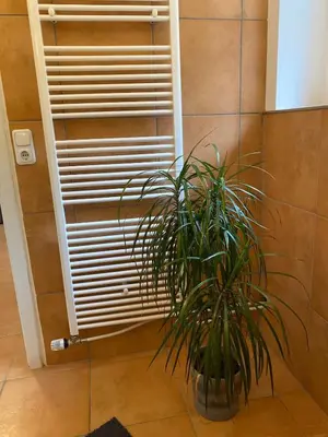 Grundriss der Unterkunft Apartment am Stetteritz