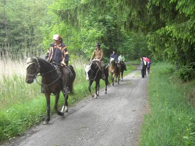 Reiten in der Ferienwohnung oder in der Nähe