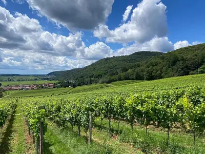 Naturlandschaft in der Nähe der Ferienwohnung