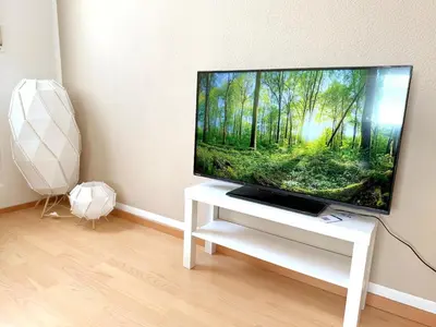 TV/Unterhaltungsangebot in der Unterkunft Gemütliche 2 Zimmer Wohnung in Kleinostheim