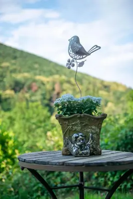 Ein allgemeiner Bergblick oder ein Berglick von der Ferienwohnung aus
