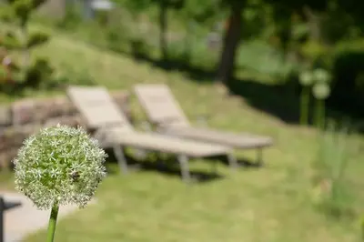Ein Garten an der Unterkunft Ferienhaus am Bellachini