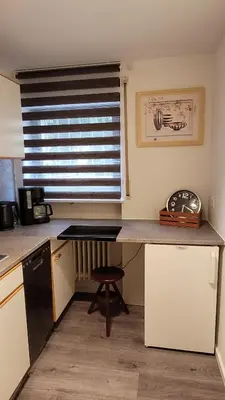 Küche/Küchenzeile in der Unterkunft Apartment Wiesenglück