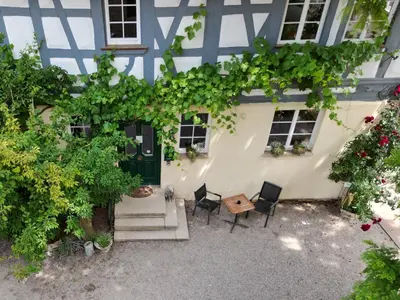 Ein Garten an der Unterkunft Stevenson House Bed and Breakfast