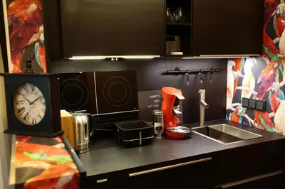 Küche/Küchenzeile in der Unterkunft Dompanorama PAPAGENA 1-Zimmer Apartment für 2Pers