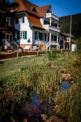 Naturlandschaft in der Nähe der Ferienwohnung