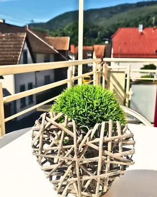 Ein allgemeiner Bergblick oder ein Berglick von der Ferienwohnung aus